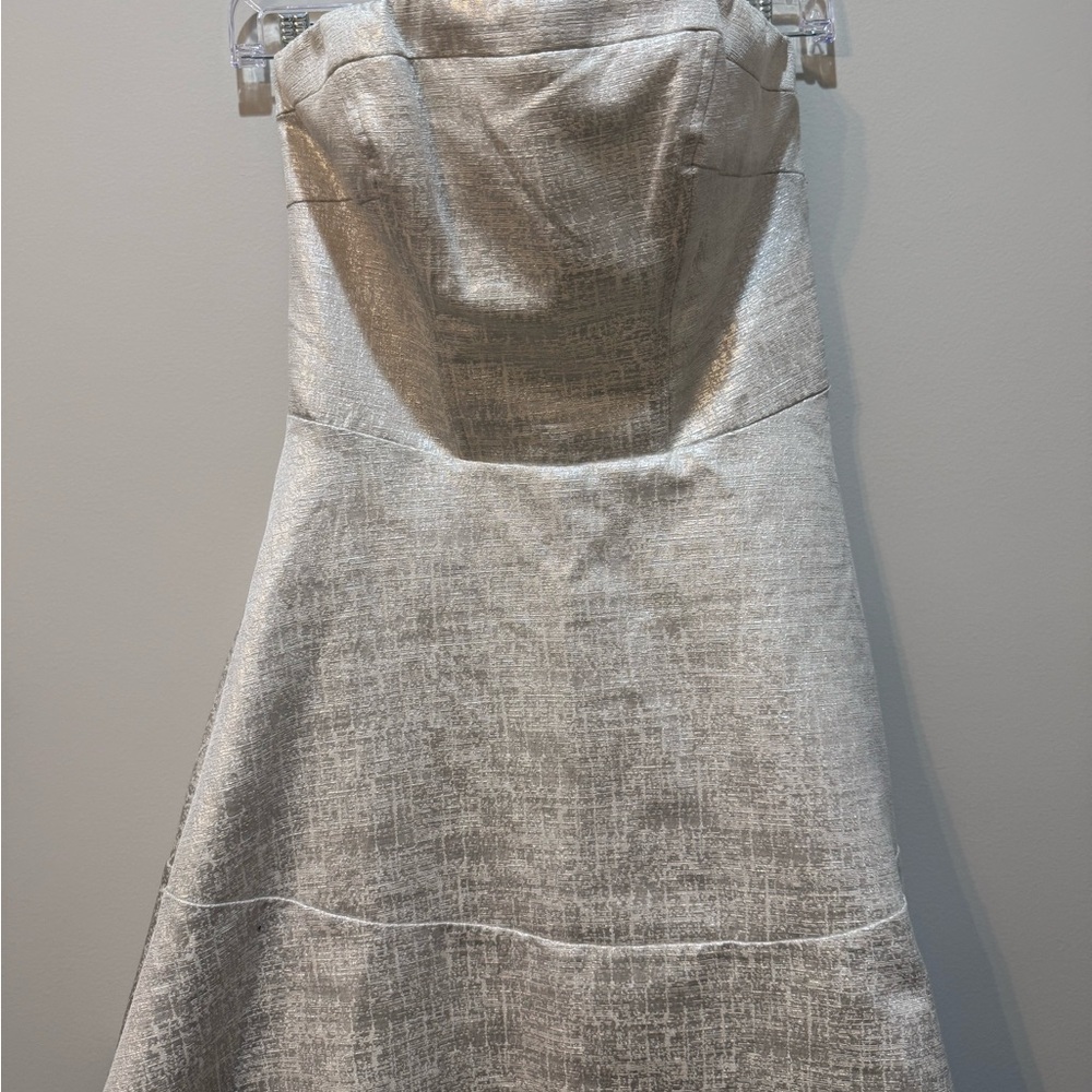 Express Strapless Metallic Champagne Fit & Flare Dress | Size 6 | Cocktail Party